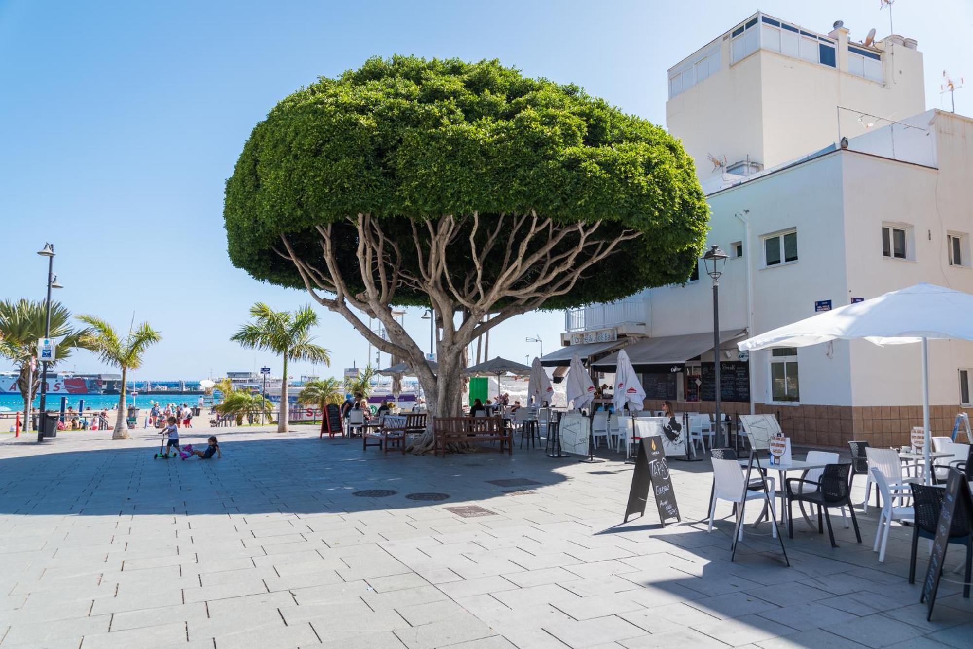 Modern Apartments Los Cristianos Center المظهر الخارجي الصورة